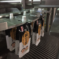 Machine de remplissage et de bouchage de liquides à commande servo pour sachets à bec verseur, pour jus et produits laitiers