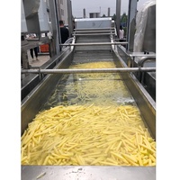 Aardappel Chips Frituren Machine Prijs/Volautomatische Industriële Bevroren Frieten Productielijn