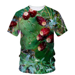 Fitspi all'ingrosso Hip Hop divertente <span class=keywords><strong>immagine</strong></span> Cactus T-Shirt da uomo <span class=keywords><strong>moda</strong></span> Street Trend grande O collo a manica corta comoda T-Shirt - Product Image 5