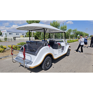 Minicoche Eléctrico Verde Claro de Cuatro Ruedas y Ocho Plazas, Vehículo de Nueva Energía, 72V, 35 km/h, Autonomía de 80-100 km, Autobús Turístico - Product Image 3