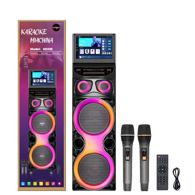 100W High Power Active Stage Speaker, Outdoor Party Audio System with RGB Disco Party Lights