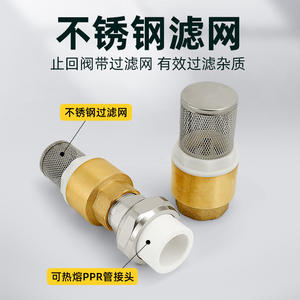 Válvula de Retención de Pozo PPR de 6/1 Pulgadas con Filtro de Bomba de Agua Autocebante de Cobre, Válvula de Pie para Prevención de Reflujo - Product Image 3