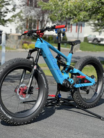 Cadre de vélo électrique à pneus larges en fibre de carbone Dengfu E10 Triangle avant et E23 Triangle arrière avec batterie 840WH et moteur Bafang M510 M560
