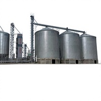 Offre Spéciale : Silo à fond plat en acier ondulé galvanisé à chaud de marque TSE pour le blé, avec IoT et garantie d'un an