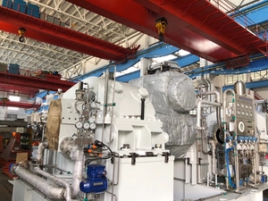 Ancre d'isolation pour plateforme pétrolière offshore, en acier inoxydable Super 316L avec rondelle anti-corrosion par picage - Product Image 3