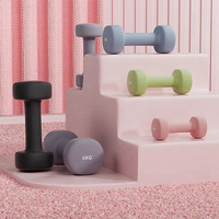 Mancuernas de colores personalizadas, equipo de fitness para uso doméstico, mancuernas moldeadas de cabeza plana pequeñas de hierro