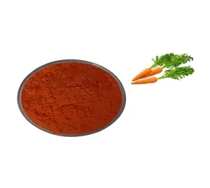High Purity Supplier Best Price ODM&OEM& Bulk Pure Organic Carrot Powder