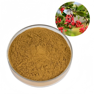 Poudre d'Herbe Naturelle Shan Zhu Yu, Extrait de Cornus <span class=keywords><strong>Officinalis</strong></span> <span class=keywords><strong>Fructus</strong></span> <span class=keywords><strong>Corni</strong></span> - Product Image 1