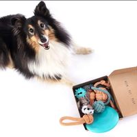 Ensemble de 6 jouets pour chiot, comprenant une balle en peluche couineuse avec corde, un disque volant et une balle à mâcher, kit de démarrage pour petits chiens, cadeau d'anniversaire de bienvenue