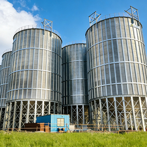 Silos de Acero de Gran Escala con Fondo de Tolva <span class=keywords><strong>Shelley</strong></span> para Trigo - Product Image 3