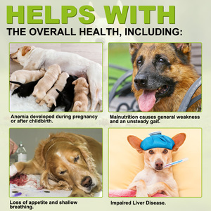 OIMMAI Promuove la Salute Naturale del Fegato: Integratore di Estratto di Cardo Mariano, Combo di Supporto Epatico per Cani - Product Image 6