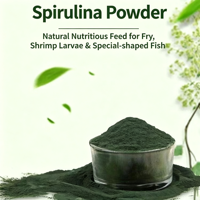 Poudre de polysaccharides de spiruline de qualité alimentaire soluble dans l'eau, extrait protéiné à 60 % pour complément alimentaire