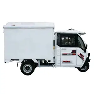 Nouveau produit 1200w/ 3000w tricycle de fret électrique fermé 3 portes ouverture cargo tricycle électrique camion pour le fret