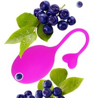 Vibrateur G-spot télécommandé pour femme, culotte vibrante longue portée, jouet sexuel pour couple, vibromasseur portable en forme de raisin pour adultes