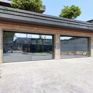 Porte de garage sans cadre Andexin de luxe, aspect élégant, améliore la qualité de la villa et la valeur immobilière - Product Image 3