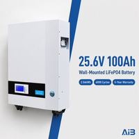 Batterie LiFePO4 murale 25,6 V 100 Ah 2,56 kWh, système de stockage d'énergie domestique, batterie murale solaire pour onduleur hybride