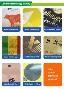 Pochette zippée en papier <span class=keywords><strong>kraft</strong></span> brun écologique avec fenêtre transparente mate, encoche de déchirure, autoportante, thermoscellable, refermable, résistante à l'humidité, pour aliments pour animaux de compagnie - Product Image 5