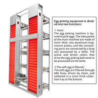 Cages d'élevage automatiques pour canards, équipement de cages à canards pour l'élevage de volailles, vente en gros, personnalisation pour usines