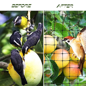 <span class=keywords><strong>2025</strong></span> mô hình mới chống mole lưới nhựa lưới vườn lưới nhựa lưới - Product Image 6