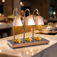 Lampe chauffante électrique en acier inoxydable pour aliments, station de maintien au chaud pour buffet, chauffage infrarouge, or rose, 500W, comptoir, hôtel, restaurant
