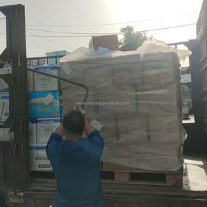 أصداف بحرية بيضاء بالجملة للزينة وديكور حفلات الزفاف وحفلات الشاطئ وفنون الأطفال والحرف اليدوية - Product Image 6