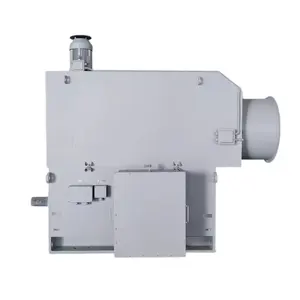 Squirrel Cage IC666 Cooling Star Connection High Voltage Variable Frequency Speed Control 3 Phase Asynchronous Motor