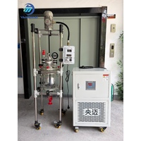 Circulateur automatique de réaction en verre borosilicaté de haute qualité 5L à double paroi avec chauffage et refroidissement par moteur pour la circulation des solvants