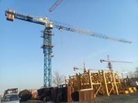 Grúa Torre de Construcción Sin Plataforma de 1.5T y 25M con Cilindro Hidráulico, Caja de Cambios y Limitador de Carga QTP20-HS2506P