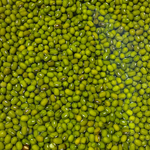 Fresh Indian Green Moong <b>Beans</b> 2026 New Season Premium Export Quality Natural Whole Bulk Pulses 24 Months Shelf Life for Global - Product Image 1