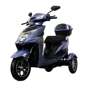 Điện ba bánh giữa ổ đĩa 1000W Điện ba bánh nhà sản xuất Trung Quốc Scooter bầu