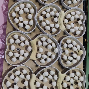 CNC-gefräste Aluminium-Vakuum-Tiefziehform zum Fräsen - Product Image 1