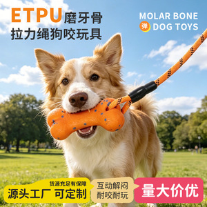 Os à mâcher ETPU pour chiens, idéal pour la dentition, entraînement interactif pour chiens de taille moyenne et grande, corde à tirer, jouet pour animaux de compagnie. - Product Image 2