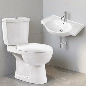 ชุดสุขภัณฑ์ห้องน้ำเซรามิกแบบสองชิ้นพร้อมอ่างล้างหน้าแบบแขวนผนัง ระบบกดน้ำสองปุ่ม จากโรงงานอินเดีย ขายส่ง - Product Image 6
