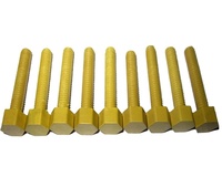Vis de moulage par injection en plastique PAI (Torlon)