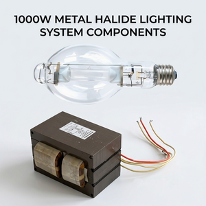 Ballast magnétique 1000W M47 pour ampoules à halogénures métalliques, 4 sorties, 60Hz, pour éclairage <span class=keywords><strong>de</strong></span> stade et projecteurs industriels, avec facteur <span class=keywords><strong>de</strong></span> puissance actif - Product Image 3