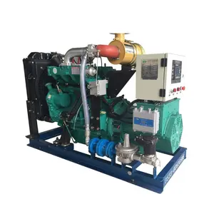 Small biomass power electricity generator straw gas generator