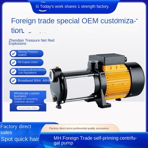 Bomba centrífuga multietapa de acero inoxidable MH transfronteriza ESPA110V/220V, bomba de refuerzo para agua de grifo y pozo, estándar británico/estadounidense, OEM - Product Image 3