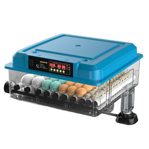 Incubadora Weiqian 2026, Nueva, Automática, para 64 Huevos, para Pollos, Patos, Gansos, Palomas, Aves y Codornices - Product Image 1