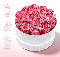 20 Mawar Asli Awet dalam Kotak Beludru Bulat, Hadiah Mawar Abadi untuk Hari Valentine, Hari Ibu, Ulang Tahun, dan Hari Jadi