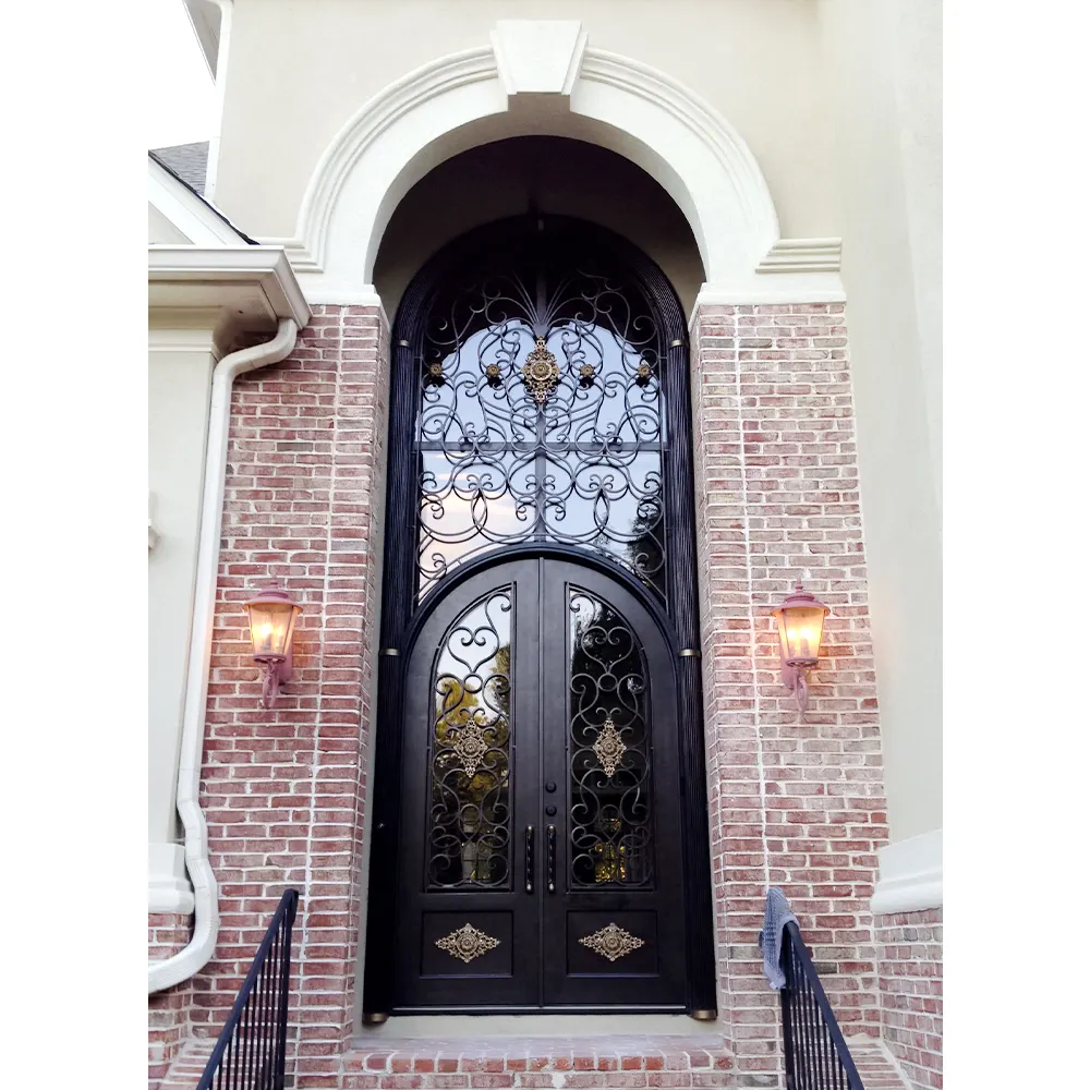 Puerta de entrada frontal de hierro fundido forjado a mano de nuevo diseño con maravillosa puerta de hierro forjado insonorizada para casa