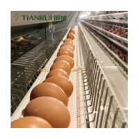 Cages en batterie pour poulets pondeurs de ferme avicole (10 000-100 000 unités) – Cages pour animaux de ferme avicole