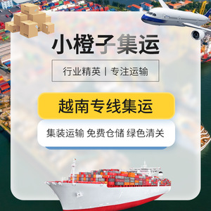 Services de logistique de fret maritime et aérien LCL express pour le Vietnam - Product Image 3