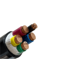 Cable de Alimentación YJV22 0.6/1kV con Aislamiento XLPE, Armadura de Cinta de Acero y Revestimiento de PVC