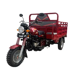 Fornitore della cina tre ruote moto ad alta potenza benzina pedale triciclo Cargo motorizzato per adulti cina