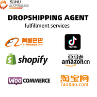 Agent d'expédition en dropshipping et FBA, service d'expédition express aérien pour petits colis pour TikTok Temu E-commerce avec assistance 24h/24 et 7j/7 et assurance