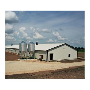 Prix usine poulet <span class=keywords><strong>maison</strong></span> plans de construction structure en acier claire portée poulaillers à vendre - Product Image 5