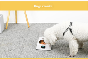 Wholesale New Smart Pet Bowl Infrared Sensor <strong>Auto</strong> <strong>Cover</strong> <strong>Open</strong> <strong>Close</strong> Feeding Pet Bowl for Cats and Dogs