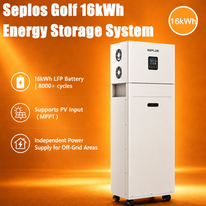 แบตเตอรี่ลิเธียมแรงดันต่ำ Seplos GOLF-R016P006-N 16kWh 51.2V 314Ah 8000 รอบการใช้งาน สำหรับระบบโซลาร์บ้าน พร้อมแบตเตอรี่ LiFePO4 รุ่น GOLF-R016P006-N - Product Image 3