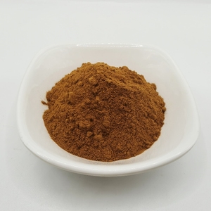 Экстракт Дамианы 100:1, пищевой, водорастворимый порошок, концентрированный, полученный методом экстракции растворителем, вакуумная упаковка в бочках - Product Image 2