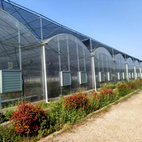 Grande structure de tunnel de serre en acier galvanisé à chaud multi-travées, longueur personnalisable pour l'agriculture hydroponique de tomates